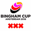 logo bingham cup